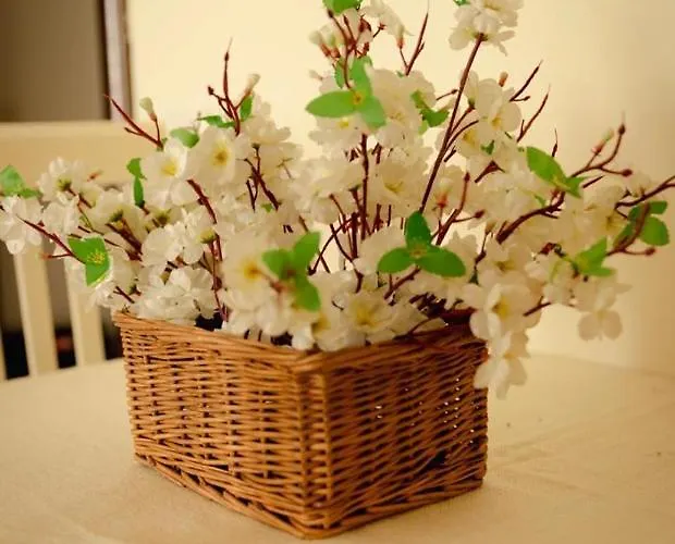 S&f Centre Apartment Tirana