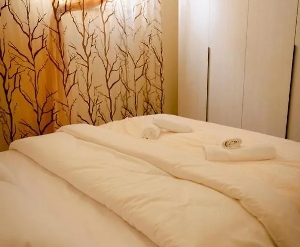 Appartement S&f Centre