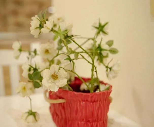 아파트 S&f Centre *